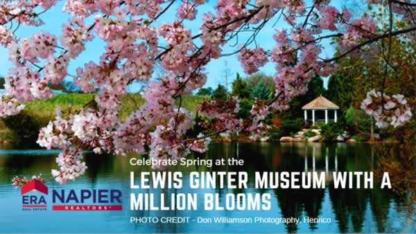 Richmond-Lewis Ginter Million Blooms